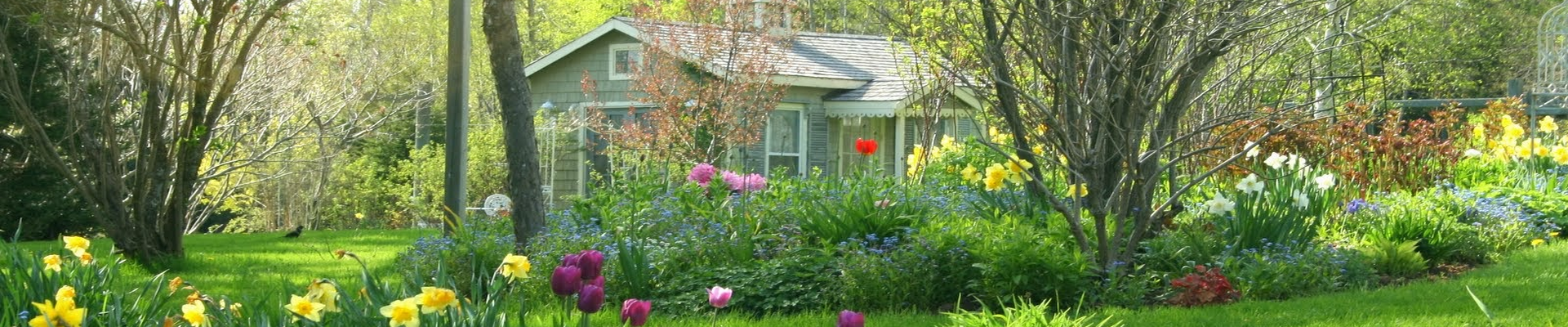 jarní zahrada na chatě